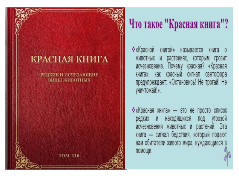 Книга красный век