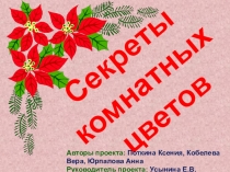 Проект Секреты комнатных цветов