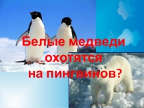 Презентация где живут белые медведи?