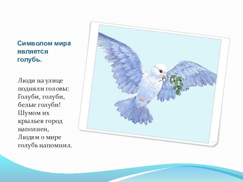 Песня про голубей. Символ мира является голубь. Стихи о символе мира голубе. Почему голубь считается символом мира. Белый голубь для презентации.