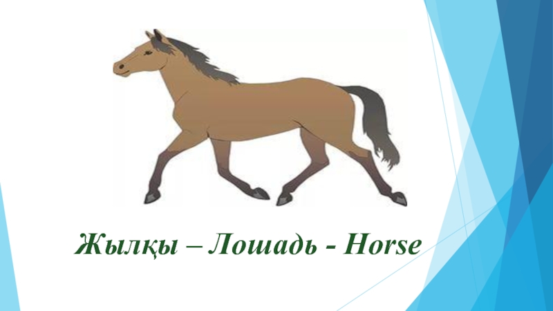 Молодая лошадь слова. Слово лошадь. Текст про лошадей. Логотип жылқы.