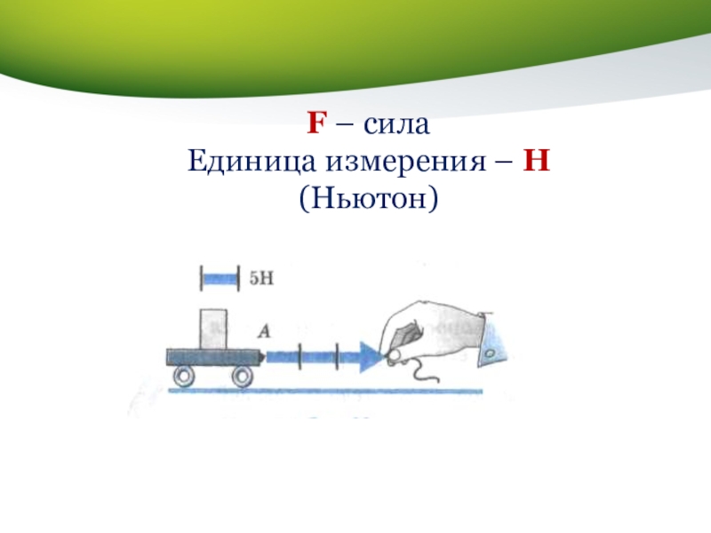 Сила 7 класс. Ньютон единица измерения силы. Единицы силы 7 класс. Единицы силы f.