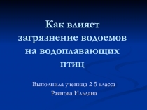 Презентация  Как влияет загрязнение водоемов на водоплавающих птиц