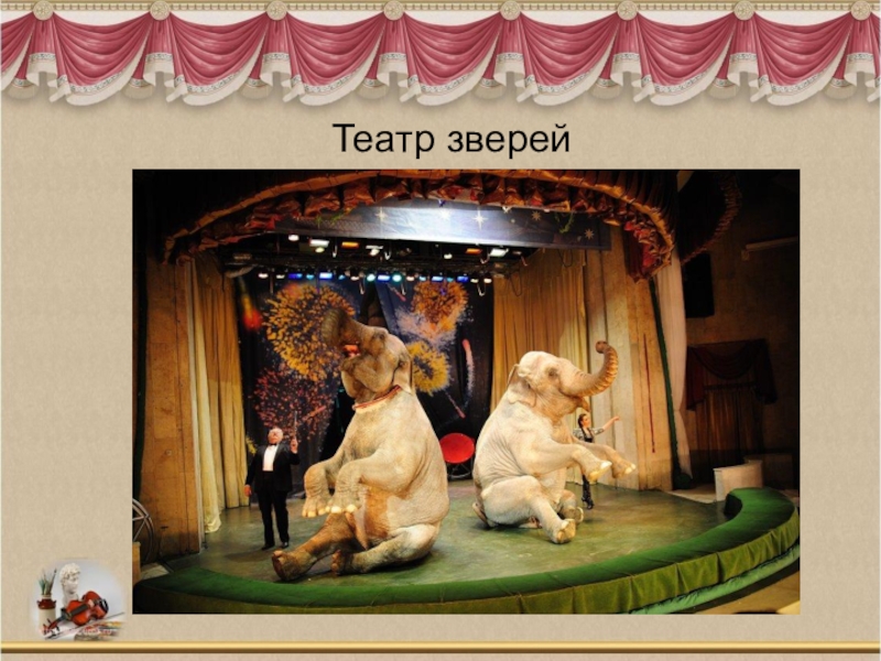 Animals theatre. Театр имени Дурова. Театр зверей Дурова. Театр Дурова в Москве. Театр уголок дедушки Дурова.