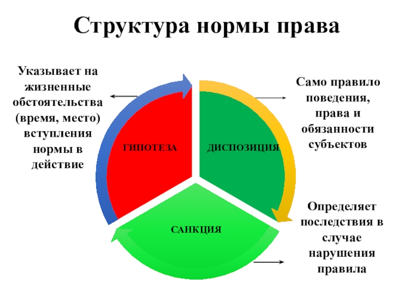 Структура нормы