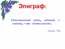 Презентация к уроку биологии Сходство и различие растительных и животных клеток