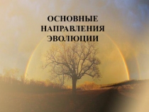 Конспект урока по биологии на тему Основные направления Эволюции