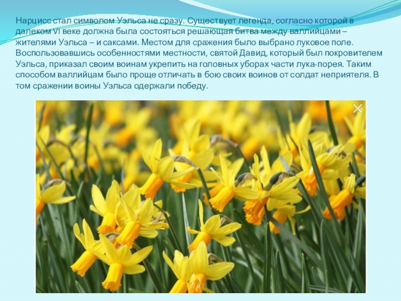 предания и легенды римлян. виды олимпийских игр в древней греции. согласно легенде существующей. печатная машинка для презентации. согласно легенде существующей.