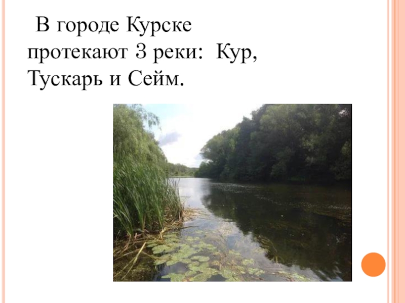 Сейм курск карта