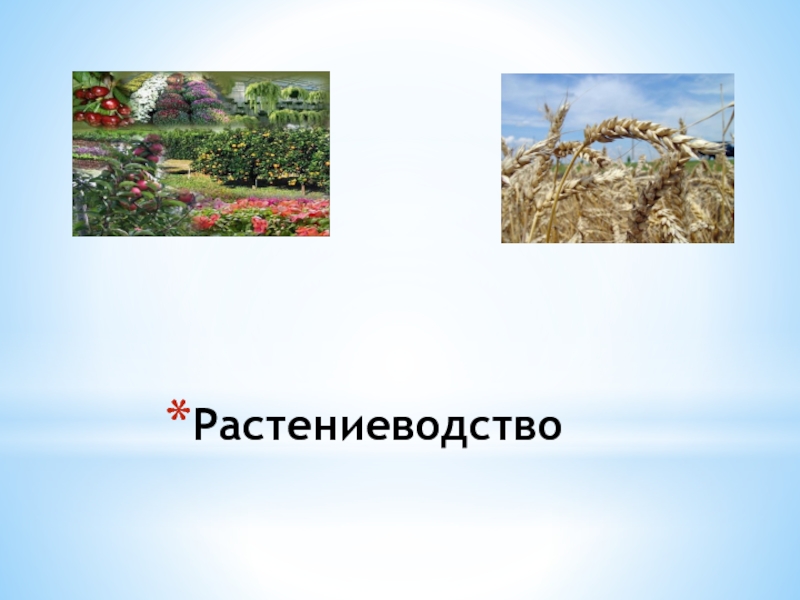 Презентация растениеводство 3 класс окружающий мир презентация