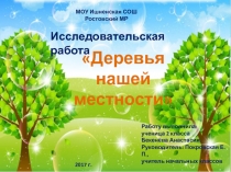 Исследовательская работа по окружающему миру Деревья нашей местности