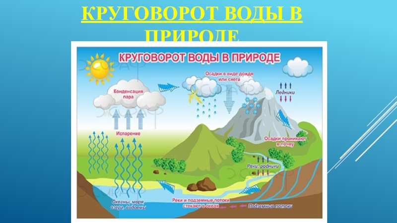 Круговорот воды экология схема