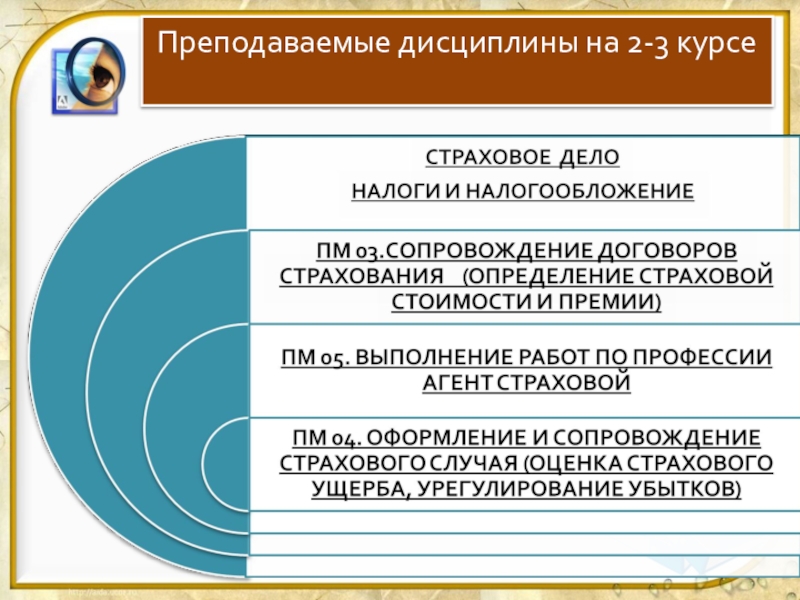 Дисциплины преподавание. Преподаваемые дисциплины. Картинкапреподаваемые дисциплины. Преподаваемые дисциплины учителя начальных классов. Картинка на Преподаваемые дисциплины.