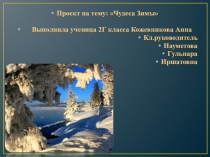 Проект на тему :Чудеса зимы