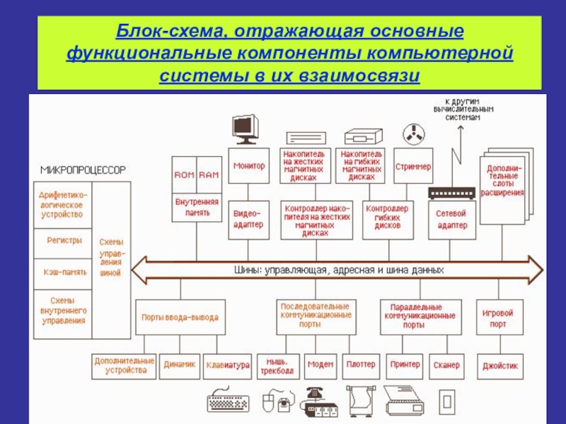 Основные компоненты общей функциональной схемы работы компьютера ответ на тест