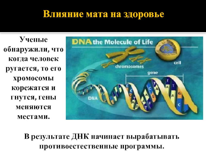 Влияние мата на здоровье человека презентация