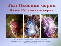 Презентация по биологии на тему:  Тип Плоские черви