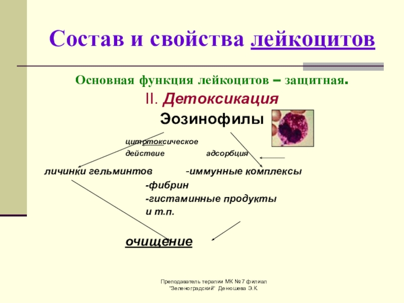 Строение лейкоцитов. Функции лейкоцитов в крови. Основ функция лейкоцитов. Функции лейкоцитов в крови человека. Функции лейкоцитов эозинофилов.