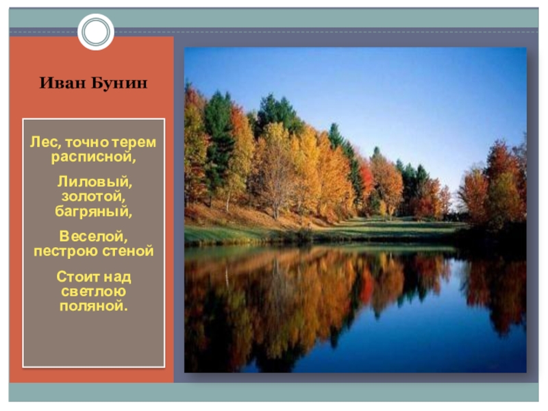 Бунин лес точно терем расписной. Бунин ...лес....лиловый золотой. Бунин лес, точно Терем расписной, лиловый, золотой, багряный. Иван Бунин лиловый золотой багряный.