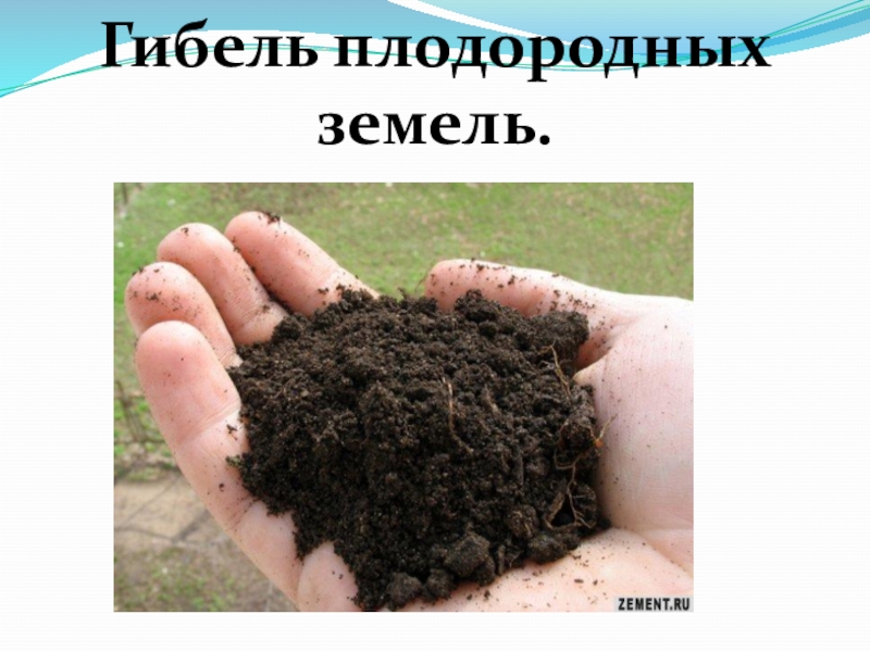 Архангельская область плодородие почв. Почвоулучшитель для экологического плодородия почвы. Какая почва менее плодородна