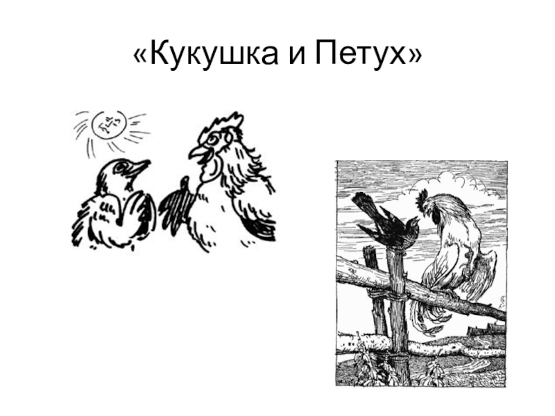 Рисунок к басне кукушка и петух