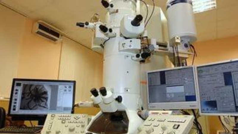   В зрительную трубку, или тубус, этого микроскопа вставлены увеличительные стекла (линзы). В верхнем конце тубуса находится