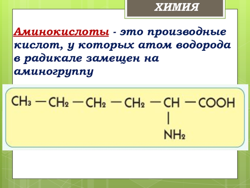 Аминокислоты химия 10 класс презентация. Аминокислоты химия. Аминокислоты производные кислот. Аминокислоты презентация по химии. Аминокислоты химия формулы.