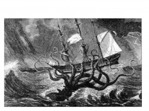 Особенности организации моллюсков, их происхождение/