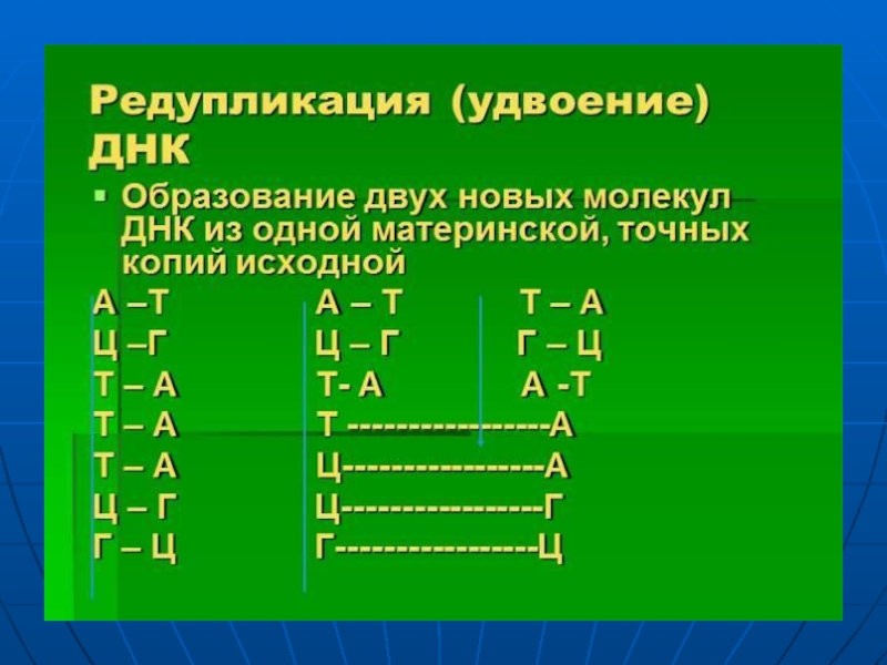 Редупликация днк. Удвоение ДНК редупликация. Редупликация молекул ДНК. Процесс удвоения ДНК.