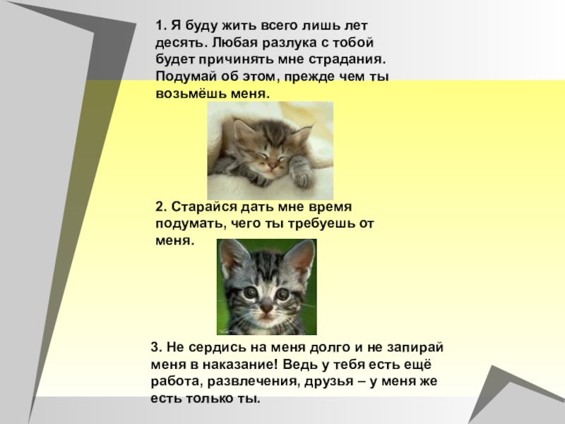 Проект на тему ты в ответе за тех кого приручил