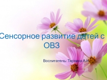 Презентация по самообразованию Сенсорное развитие детей с ОВЗ