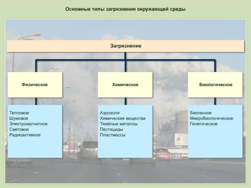 Проект по биологии загрязнение окружающей среды