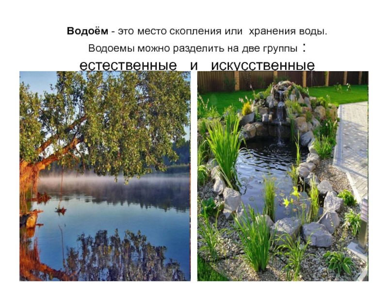 Водоемы схема 2 класс