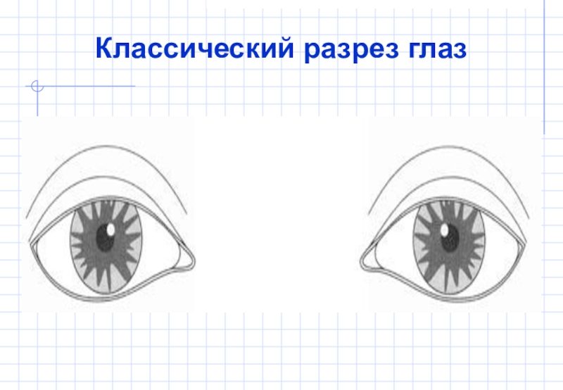 Разрез глаз. Классический разрез глаза. Прямой разрез глаза. Глаз в разрезе. Горизонтальный разрез глаза.