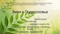 Урок. Презентация Змеи Подмосковья