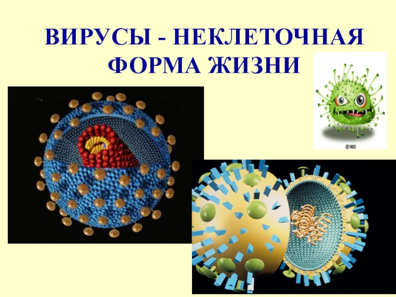 Вирусы неклеточные формы жизни проект