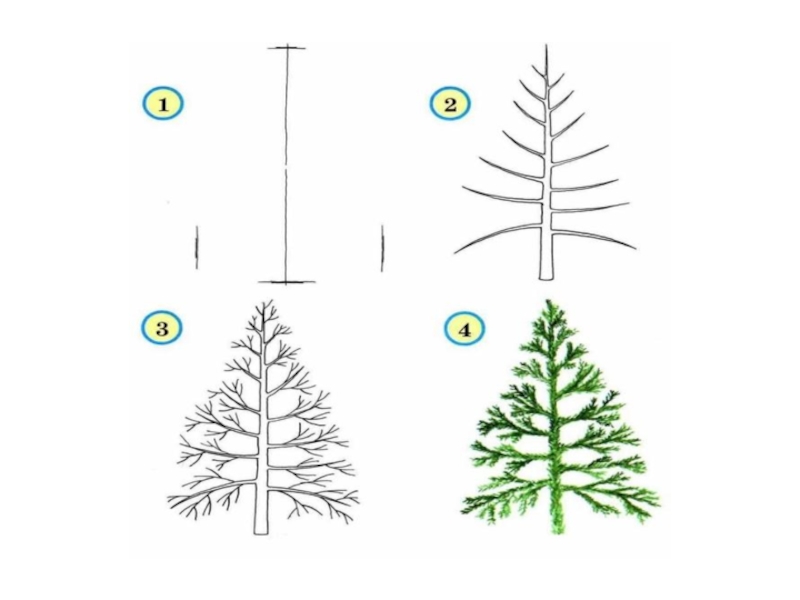 Рисуем деревья 1 класс презентация изо