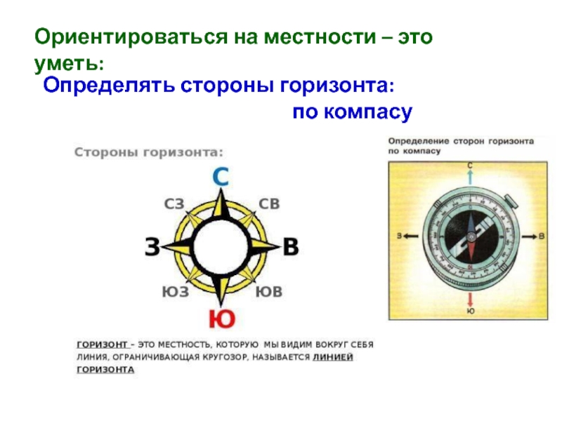 Ориентирование на местности 5 класс география презентация