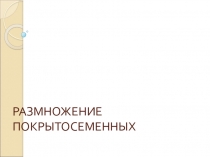 размножение покрытосеменных