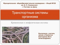 Презентация по биологии на тему Кровеносная и лимфатическая система 8 класс