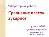 Лабораторная работа Сравнение клеток эукариот 5 класс