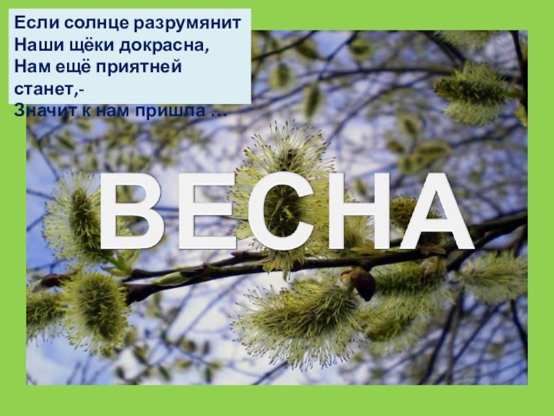 Презентация по окружающему миру 2 класс в гости к весне 2 класс