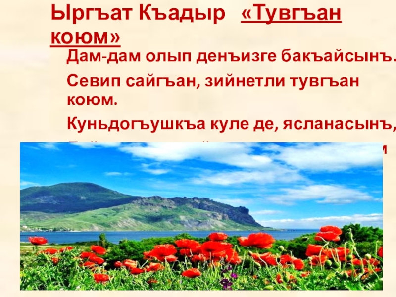 Ыргъат Къадыр  «Тувгъан коюм»Дам-дам олып денъизге бакъайсынъ.Севип сайгъан, зийнетли тувгъан коюм.Куньдогъушкъа куле де, ясланасынъ,Лейли чечек мейданы,