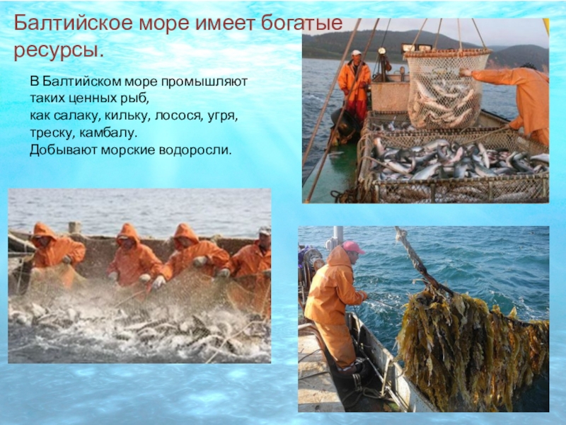 Описание балтийского моря по плану 6 класс география