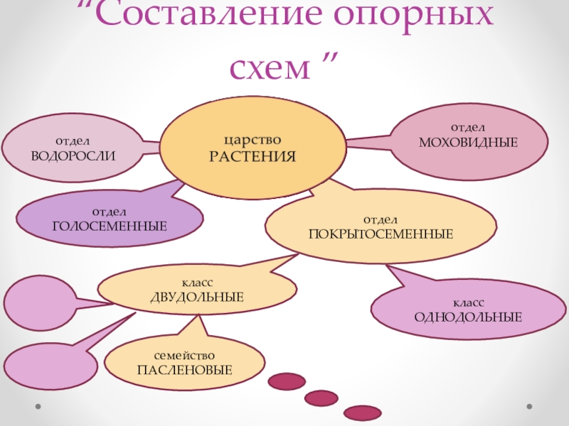 Метод проекта на уроках биологии