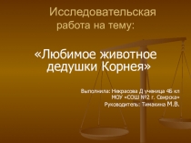 Презентация исследовательской работы Любимое животное дедушки Корнея