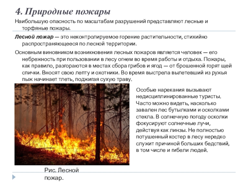 Характеристика лесных пожаров обж. Критерии природного пожара. Характеристика природных пожаров. Причины возникновения природных пожаров. Природные пожары ЧС.
