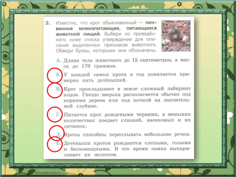 Из приведенного ниже списка признаков животных. Известно что Крот обыкновенный. Выбери из списка, приведённого ниже, признаки,. Выберите из списка приведенного ниже признаки. Известно что Крот обыкновенный почвенное млекопитающее.