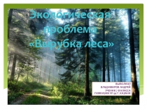 Экологическая проблема Вырубка леса