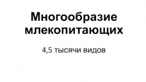 Презентация к уроку биологии по теме: Многообразие Млекопитающих